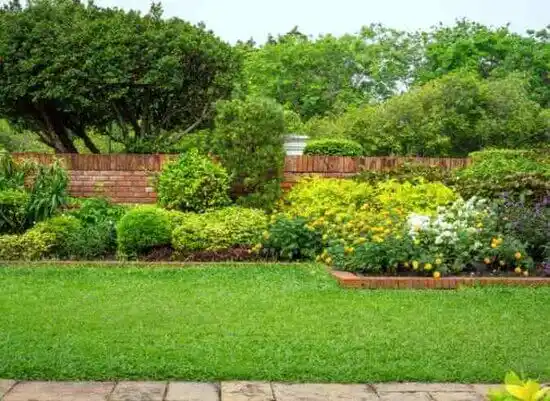 landscaping services Whitney